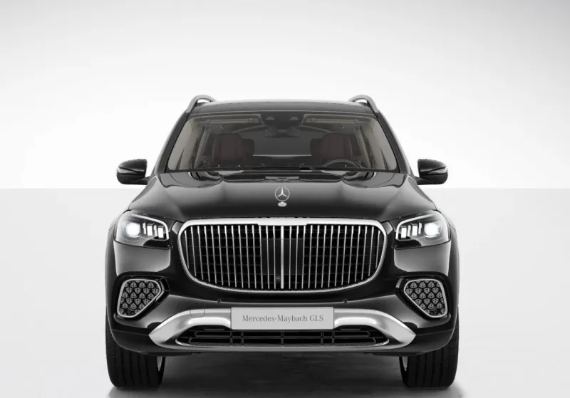 Mercedes-Benz GLS 600 Maybach 4Matic Manufaktur =MGT Conf= E Image 2